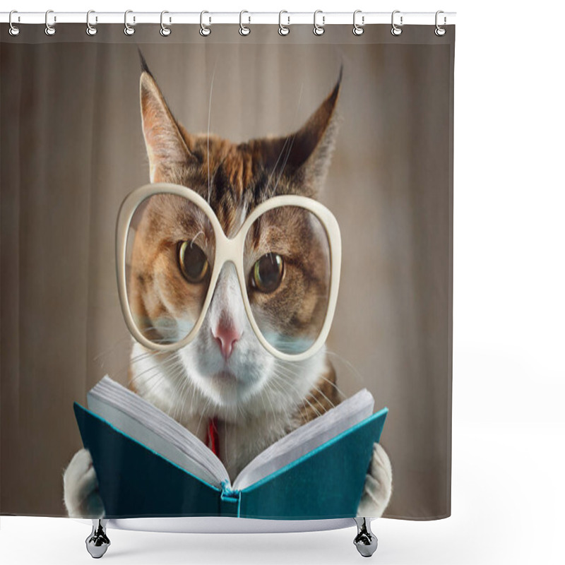 Personality  Cat In Glasses Holding A Turquoise Book And Strictly Looks Into The Camera. Concept Of Education Shower Curtains