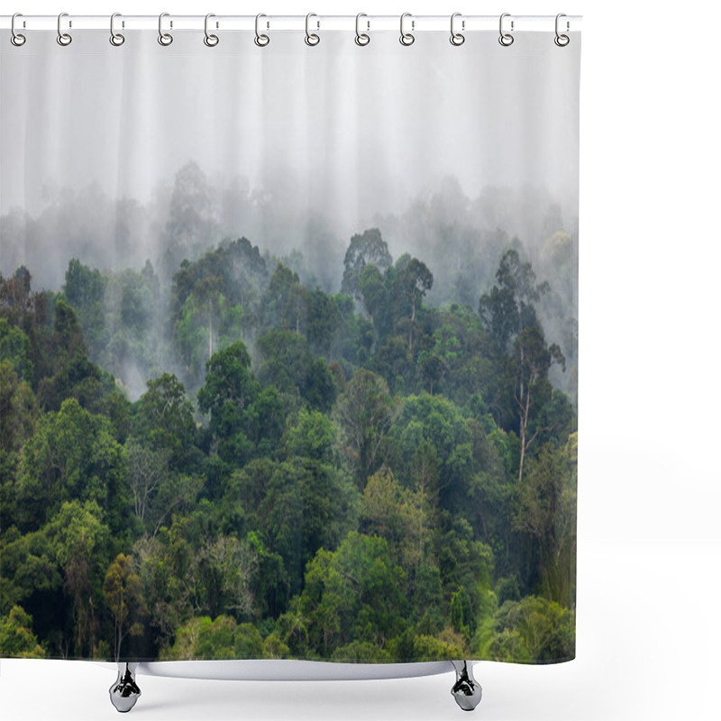 Personality  Fog Covers Greenery Area Inside Tropical Rainforest In Rainy Season. Shower Curtains