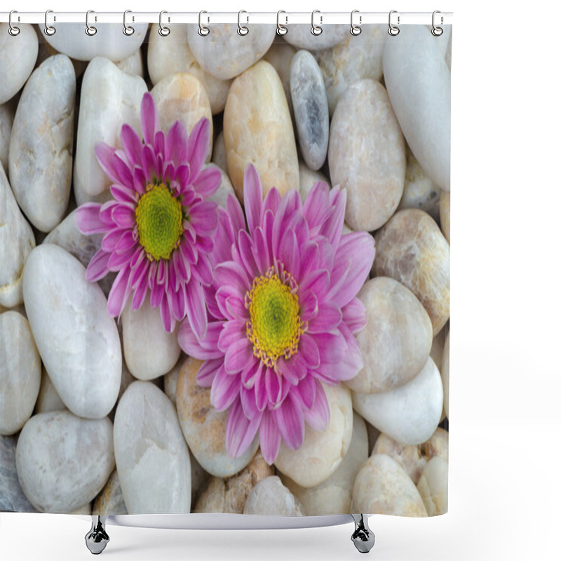 Personality  Chrysanthemum And White Stones. Shower Curtains