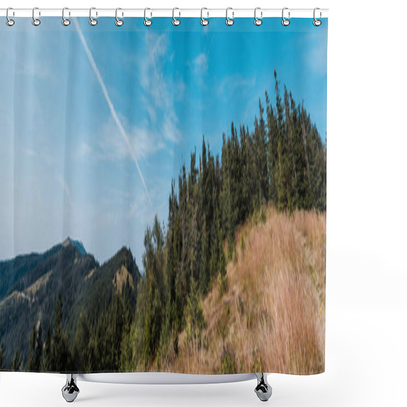 Personality  Panoramic Shot Of Evergreen Pines Near Golden Field Against Sky  Shower Curtains