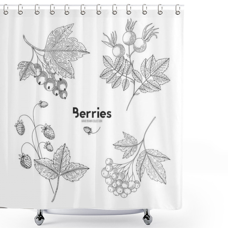 Personality  Vector Berries Isolated On White Background. Viburnum, Currant, Wild Strawberry, Rosehip. Contour Outline Style. Designed To Create Package Of Health And Beauty Natural Products. Shower Curtains