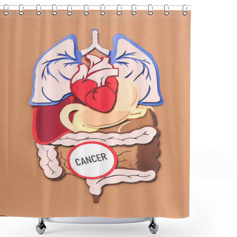 Personality  Flat Lay With Human Internal Organs And Lettering Cancer On Brown Shower Curtains