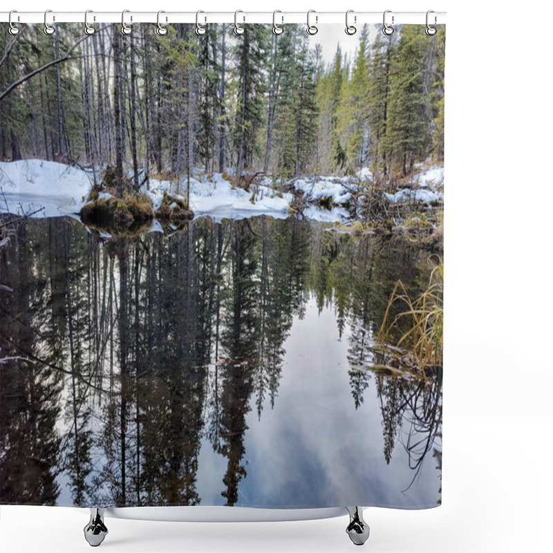 Personality  A Forest Stream With Still Water Reflecting The Surrounding Snowy Landscape. Captures The Essence Of Winter In The Wilderness. Shower Curtains