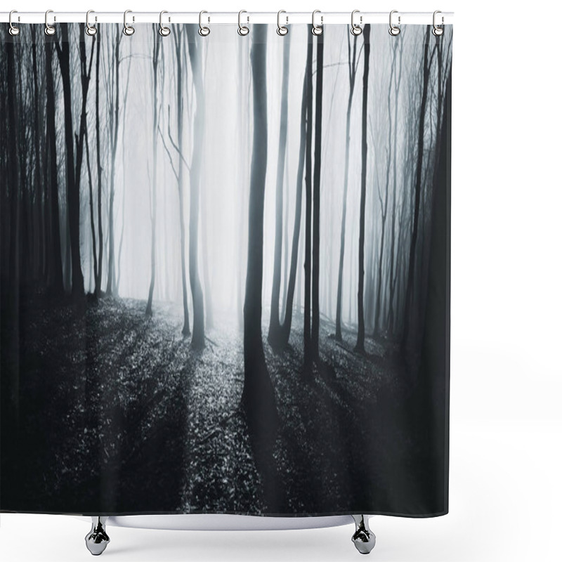 Personality  Fantasy Forest With Sun Rays Landscape Shower Curtains