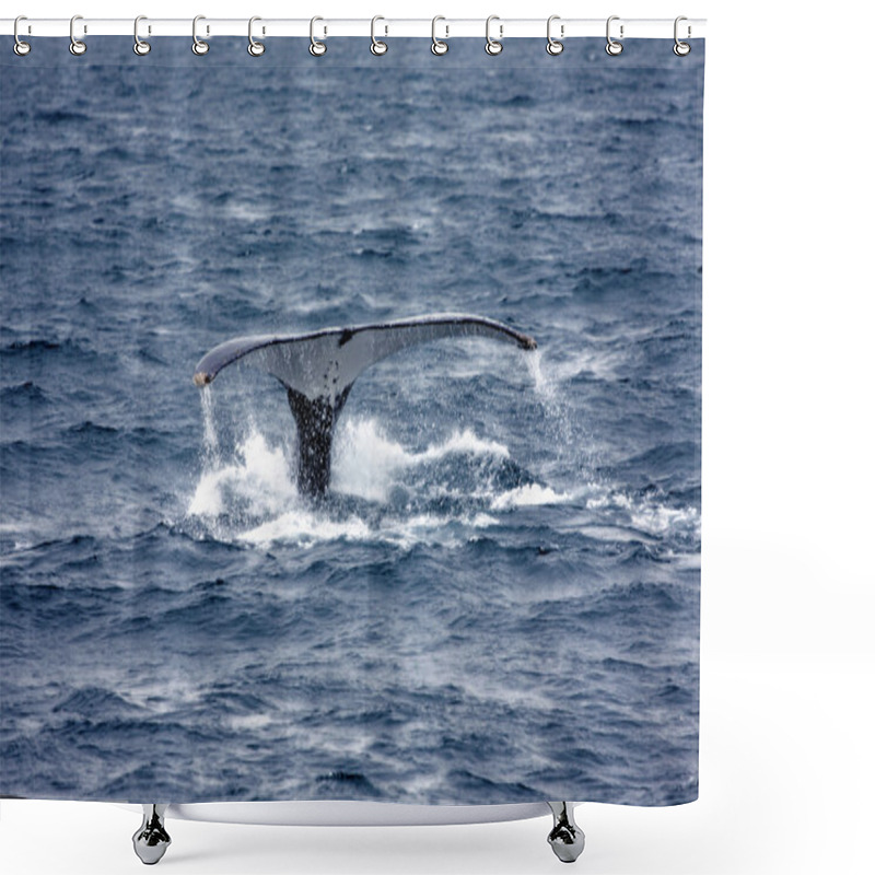 Personality  Humpback Whale Shower Curtains