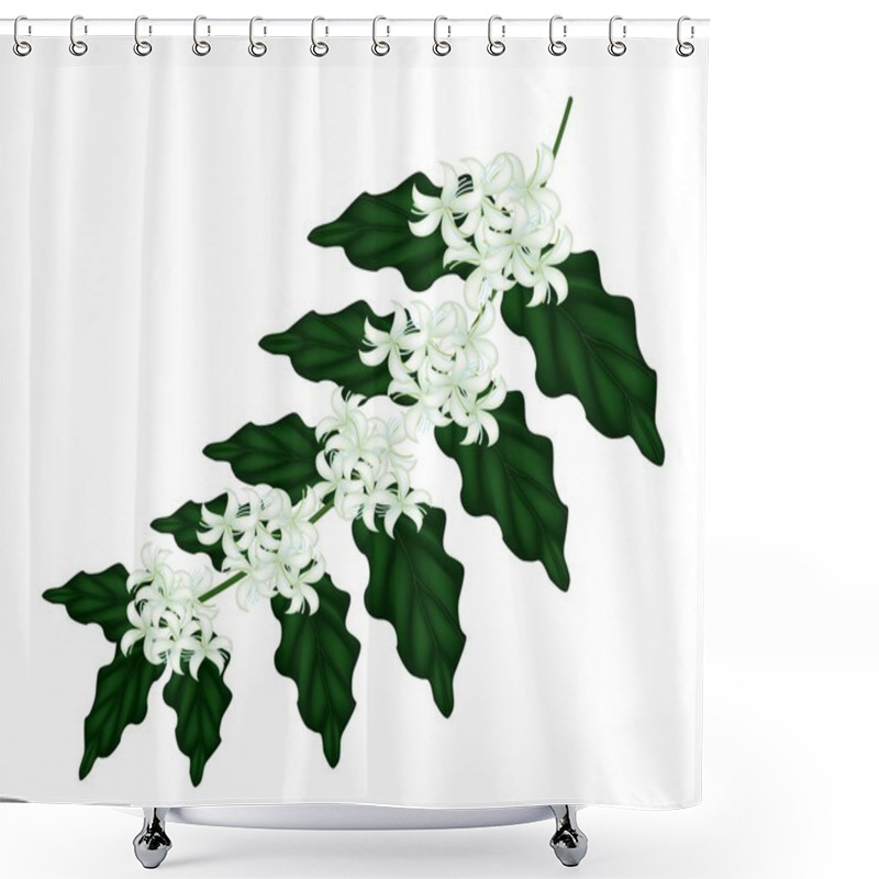 Personality  An Illustration Of Coffee Flowers On White Background Shower Curtains