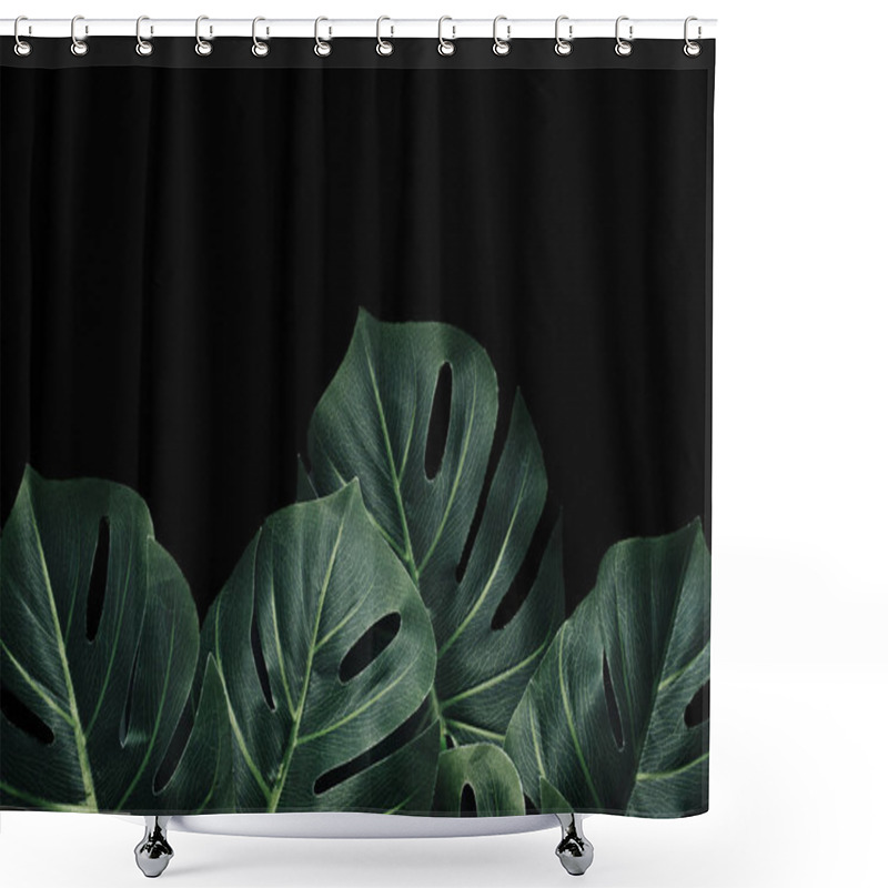 Personality  Monstera Palm Leaves In Tropical Dramatic Forest And Copy Space For Poster Or Invitation. Shower Curtains