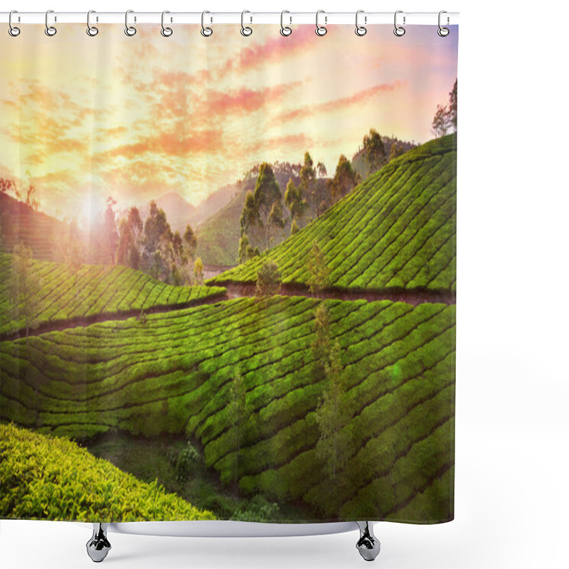 Personality  Tea Plantation In Munnar Shower Curtains