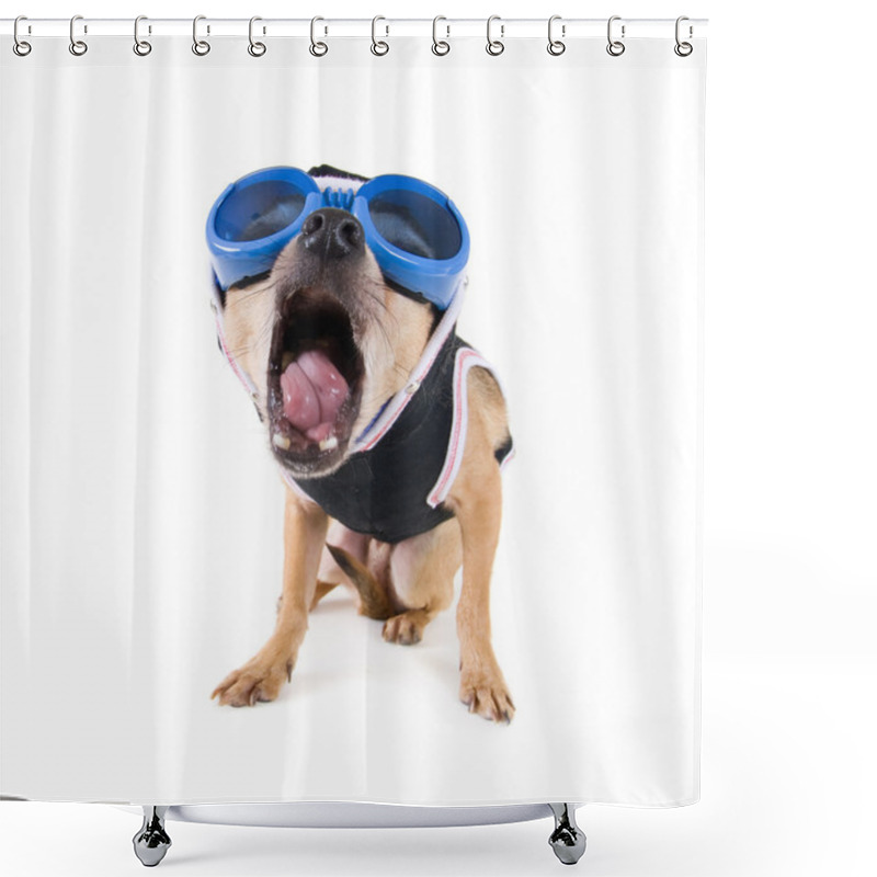 Personality  Chihuahua With Goggles And Jacket Shower Curtains