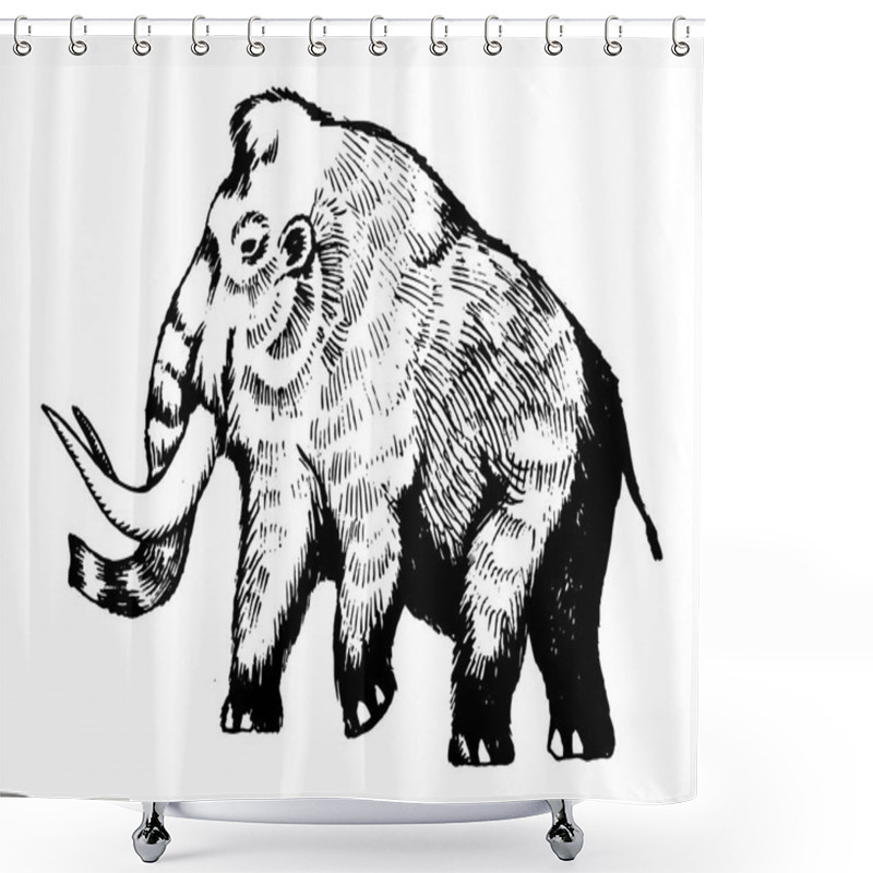 Personality  Mammoth Engraving Vector Illustration Shower Curtains