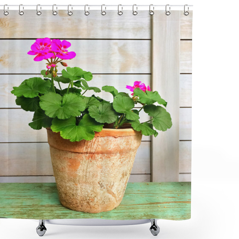 Personality  Blooming Geranium In Old Clay Pot Shower Curtains