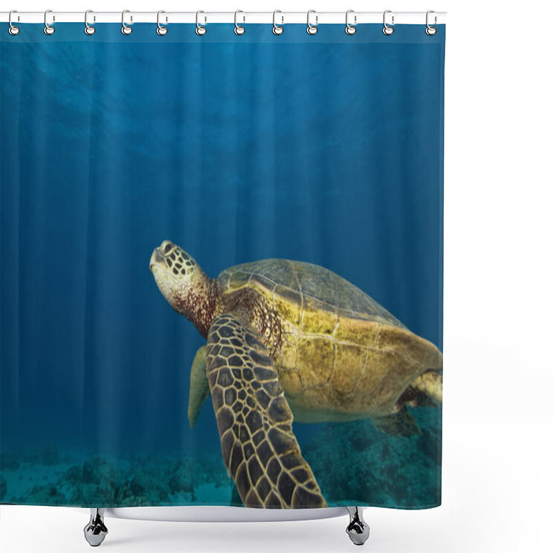 Personality  Tropical Reef Underwater Shower Curtains