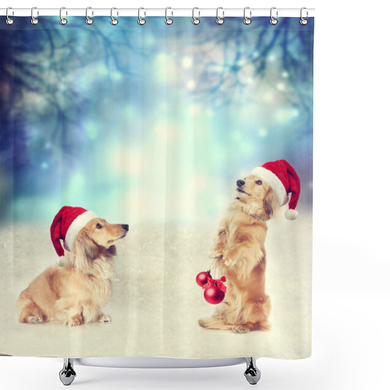 Personality  Two Dachshund Dogs With Santa Hats Together Shower Curtains