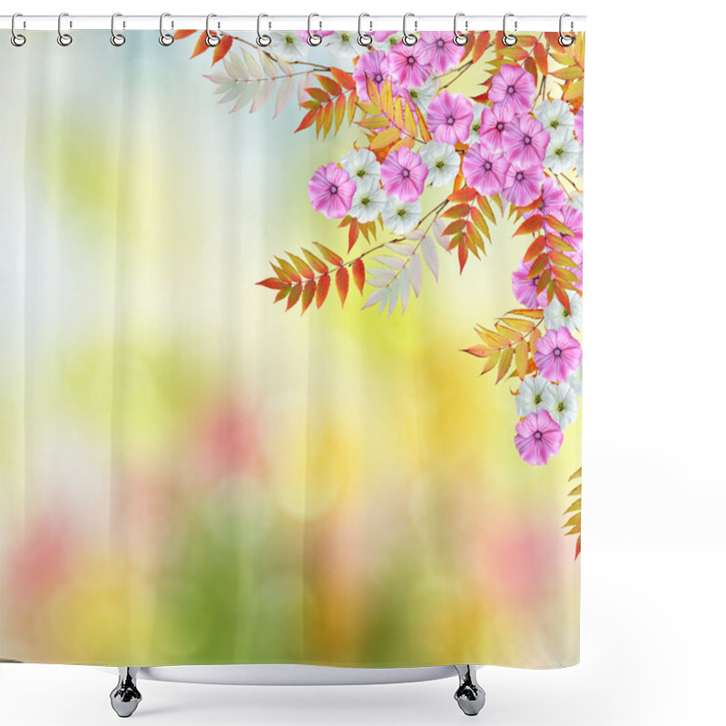 Personality  Delicate Bright Flowers Morning Glory On Background Summer Lands Shower Curtains