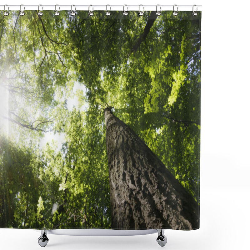 Personality  Forest Shower Curtains