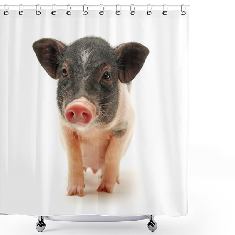 Personality  Small-eared Pig Shower Curtains