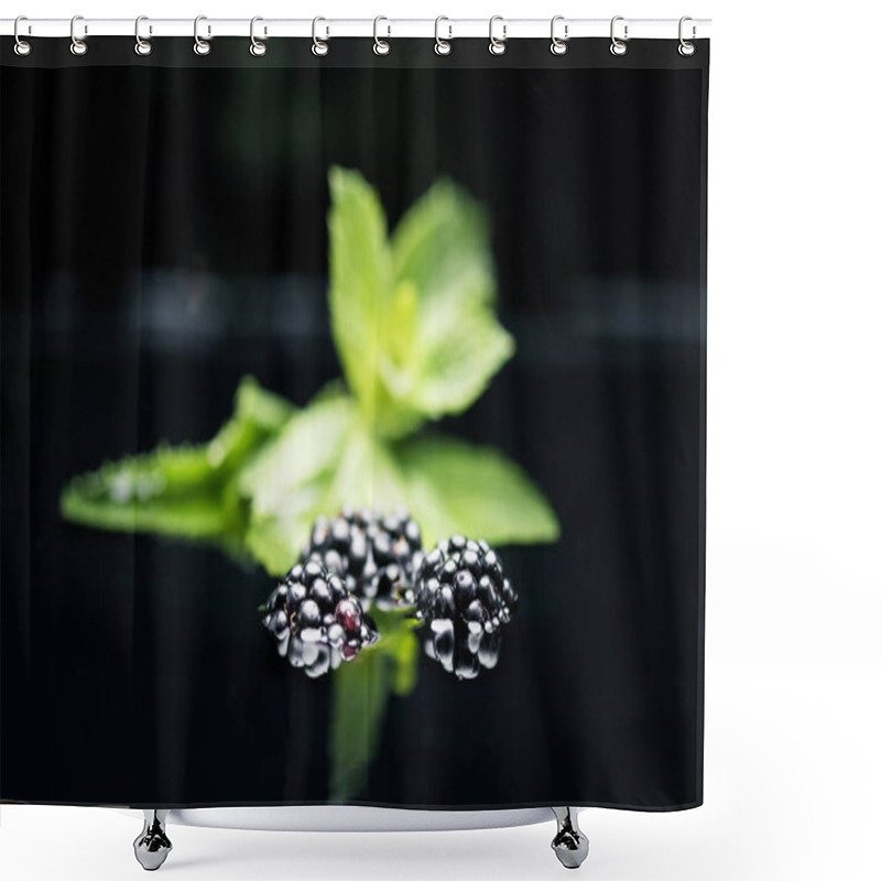 Personality  Fresh Ripe Blackberries In Water Shower Curtains