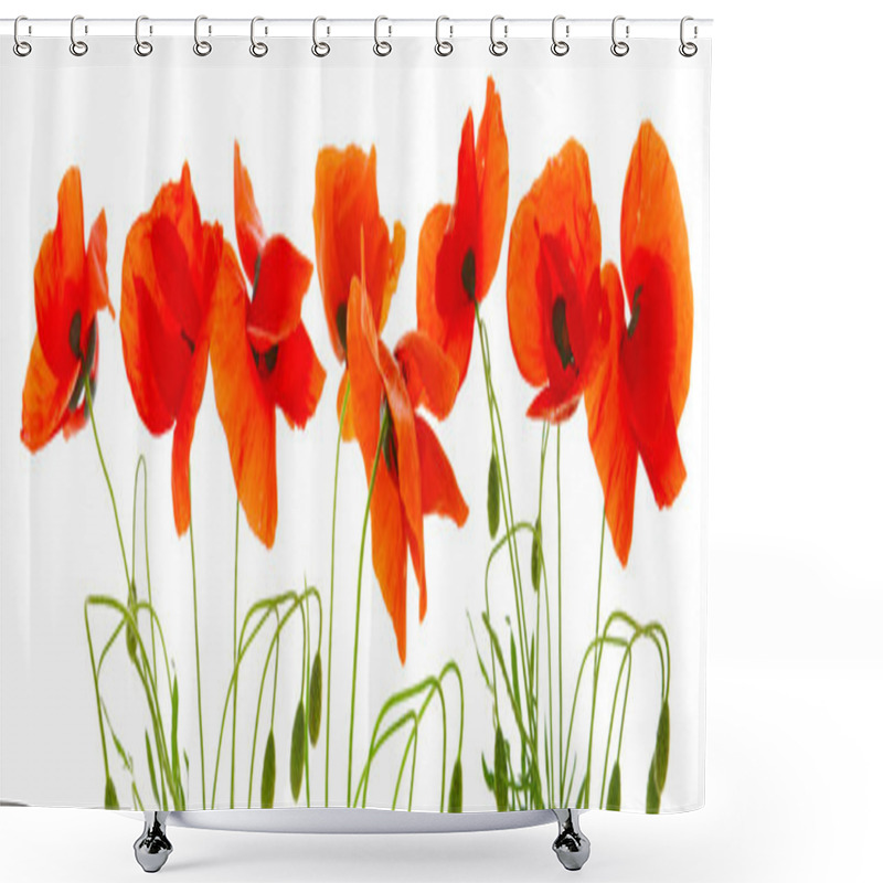 Personality  Red Poppies Isolated . Shower Curtains