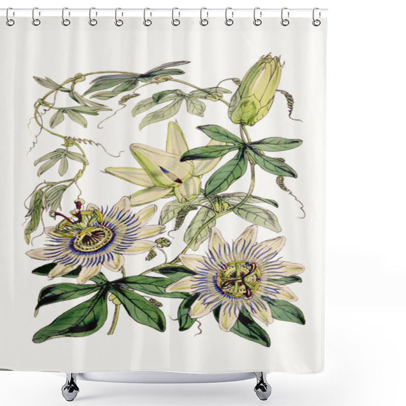 Personality  Botanical Flower Illustration. Exquisite Botanical Bouquet Showcasing Diverse Floral Species, Celebrating Biodiversity And Ecological Harmony Shower Curtains