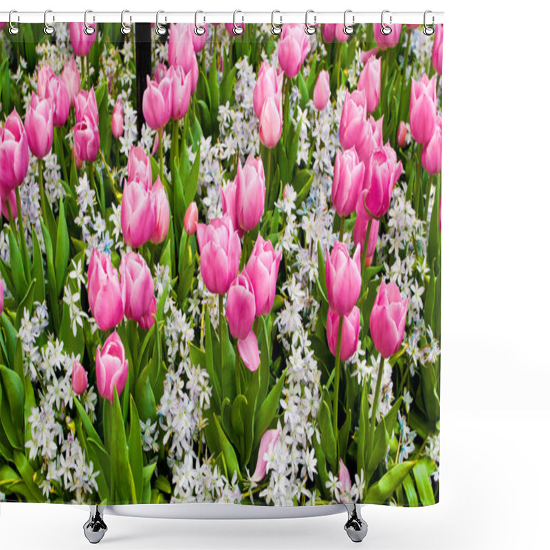 Personality  Tulips Shower Curtains