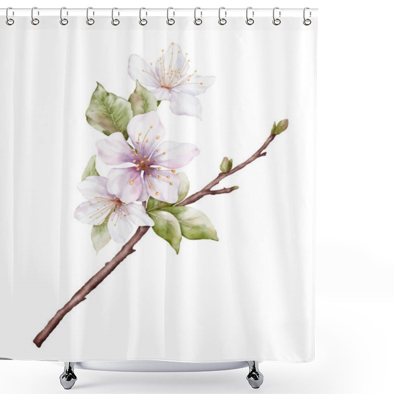 Personality  Watercolor Light Pink Cherry Blossoms Blooming On The Branches. Cherry Blossom And Leaves Branch Bouquet Vector Isolated On White Background. Suitable For Decorative Spring Festivals, Or Cards. Shower Curtains