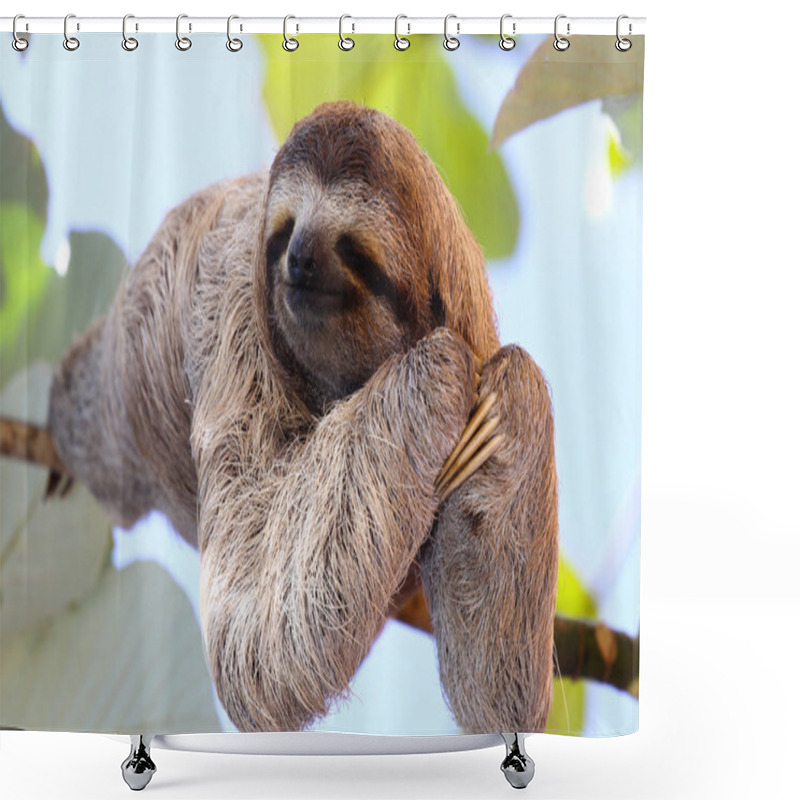 Personality  Happy Sloth Shower Curtains