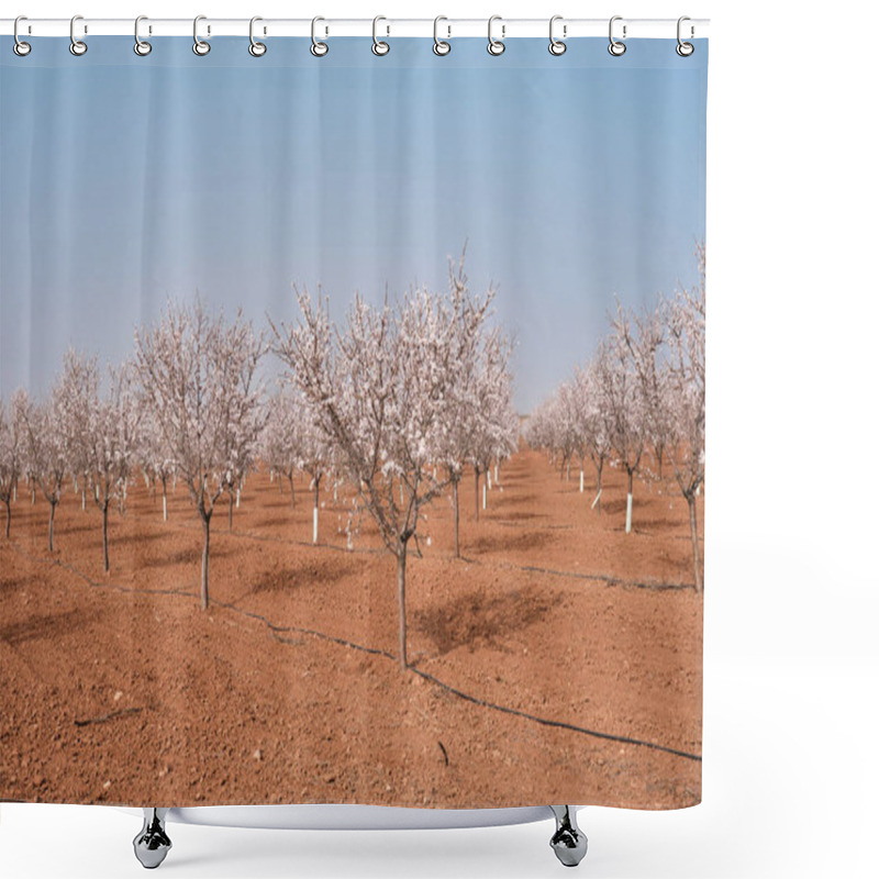 Personality  Blossoming Almond Trees Field Springtime Landscape Shower Curtains