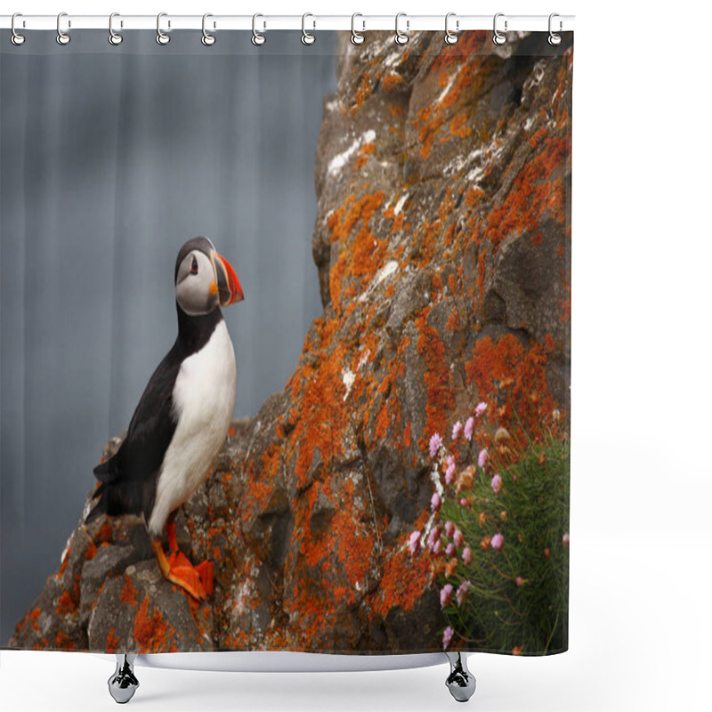 Personality  Atlantic Puffin At Wild Nature, Daytime View  Shower Curtains