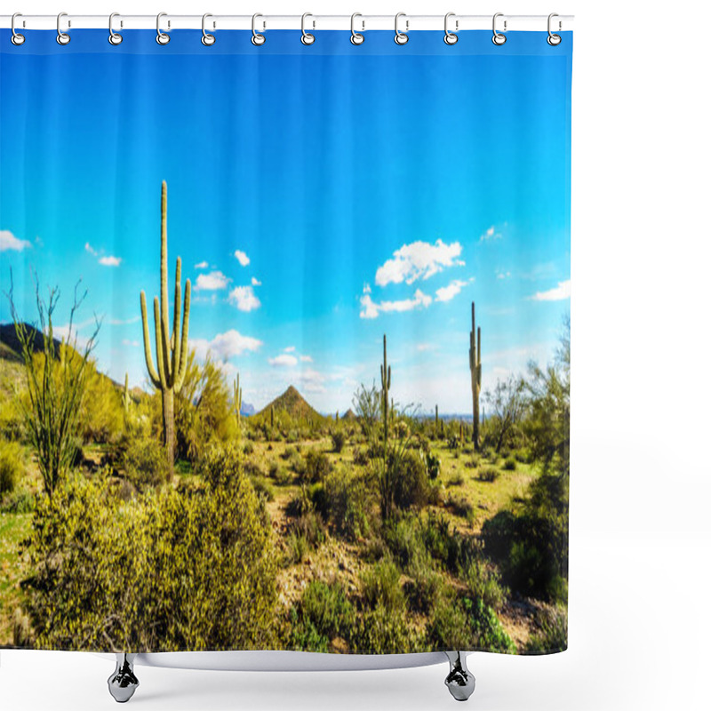 Personality  Usery Mountain Reginal Park Near Phoenix Arizona  Shower Curtains