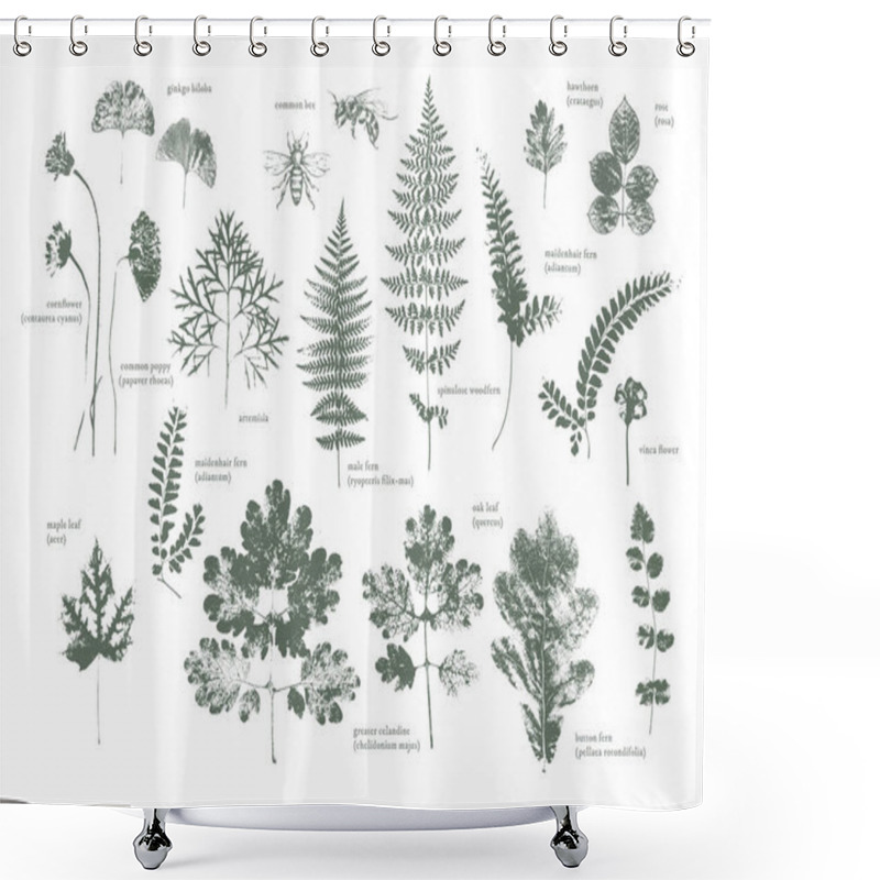 Personality  Set Of Dried Herbs And Natural Plants And Bees - Herbarium Logo Collection  Shower Curtains