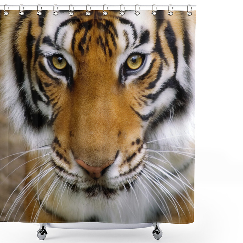 Personality  Tigers Face. Shower Curtains