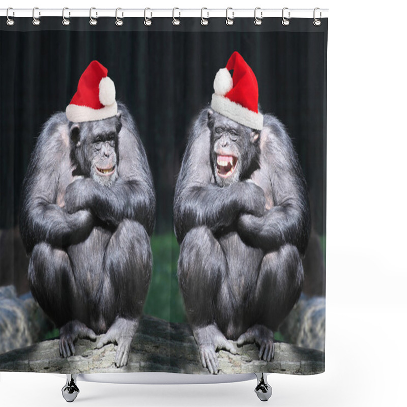 Personality  Two Chimpanzees Have A Fun On Christmas Party Shower Curtains