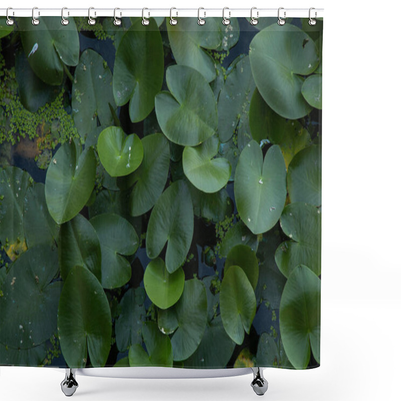 Personality  Water Lilies On River Water As A Background In Summer In Ukraine Close-up, Environment Shower Curtains