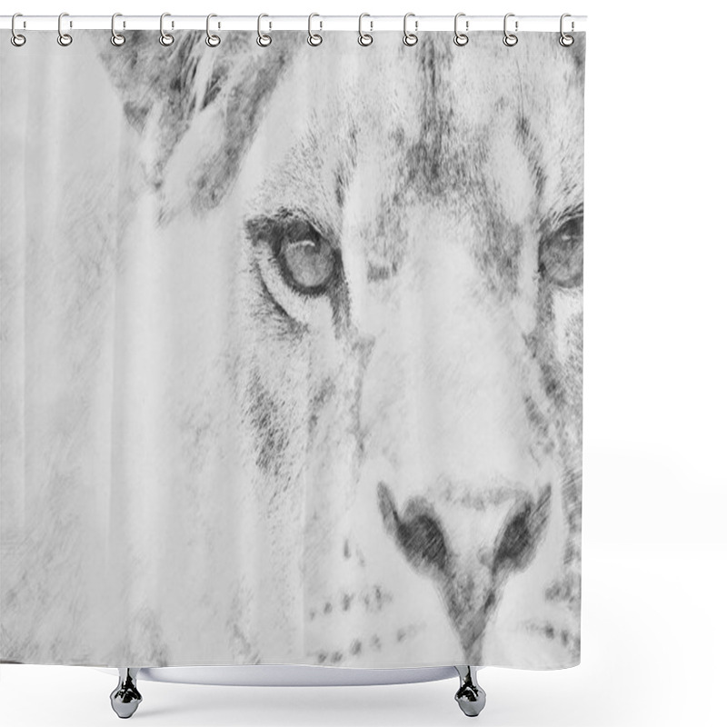 Personality  Lion. Sketch With Pencil Shower Curtains