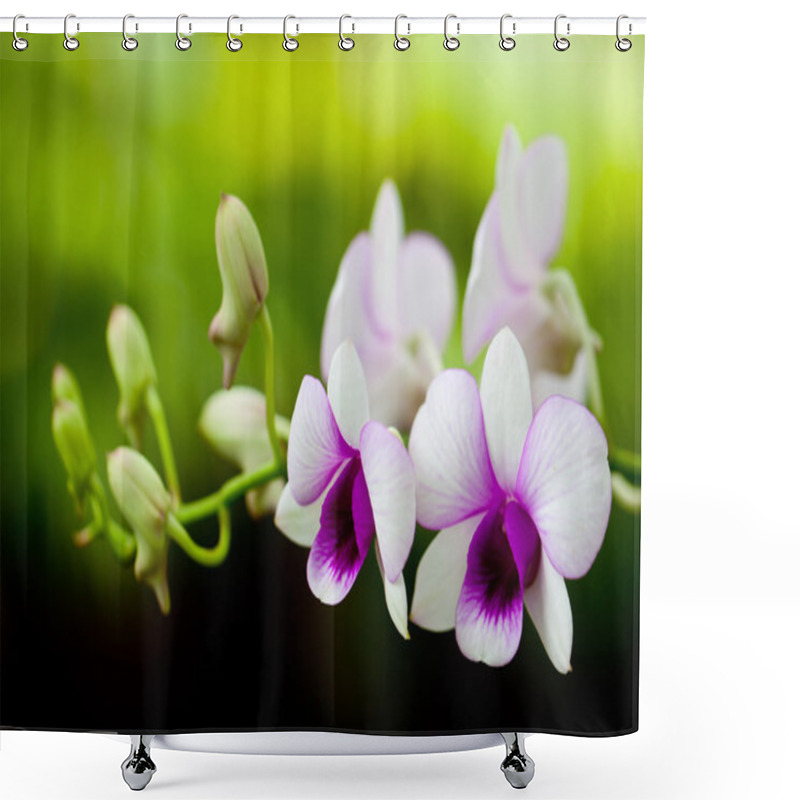 Personality  Wild Orchids Shower Curtains