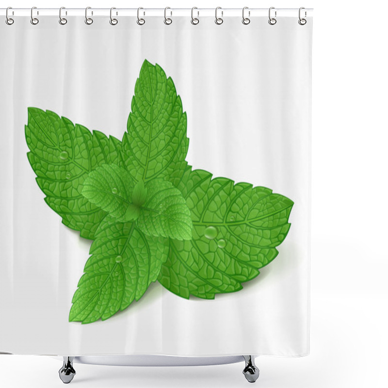 Personality  Mint Leaf Shower Curtains