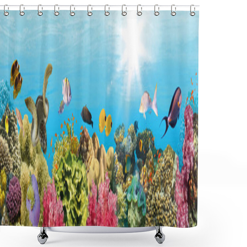 Personality  Underwater Paradise Background - Coral Reef Wildlife Nature Collage With Sea Turtle And Colorful Fish Background. Vector Illustration Shower Curtains