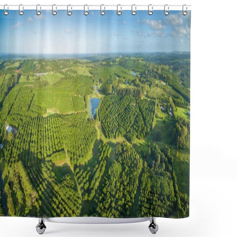 Personality  Aerial Panorama Of Macadamia Farm At Sunset In New South Wales, Australia Shower Curtains