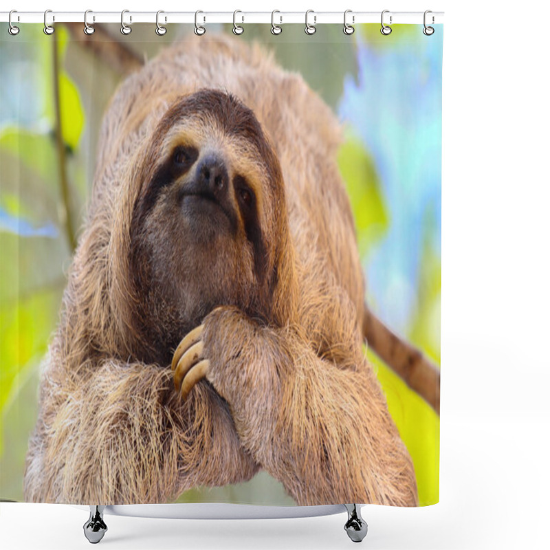 Personality  Happy Sloth Shower Curtains