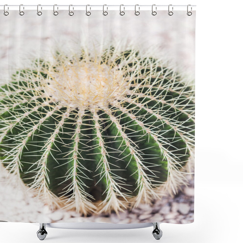 Personality  Prickly Cactus Plant Shower Curtains