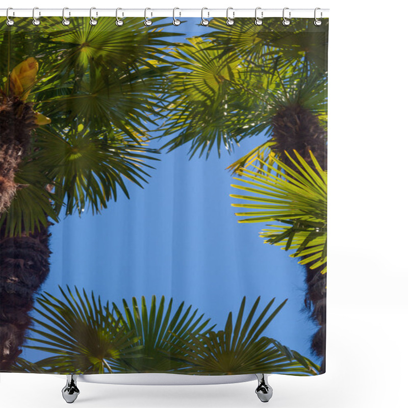 Personality  Coconut Palm Trees Perspective View Shower Curtains