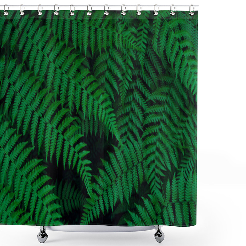 Personality  Real Tropical Leaves Background, Jungle Foliage Shower Curtains