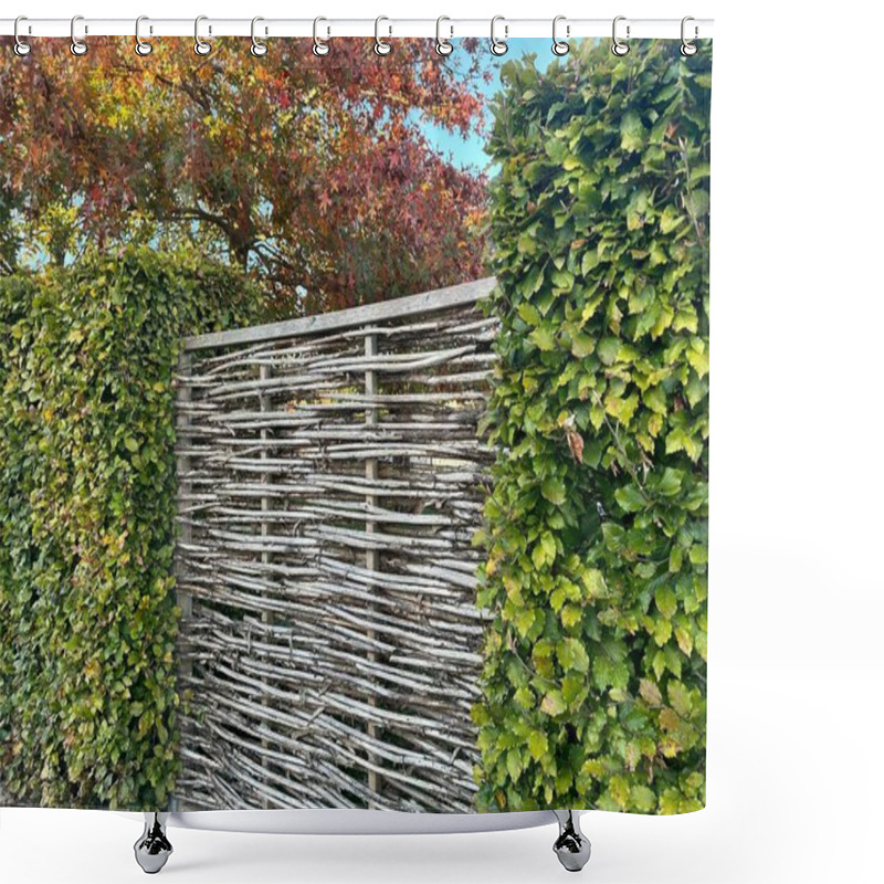 Personality  Wicker Willow Eco Fence And Dense Beech Hedge. The Hedge Is Composed Of Fagus Sylvatica, Displaying Horizontal Weaving In A Rustic, Natural Style Shower Curtains