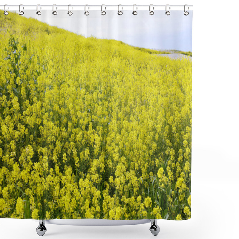 Personality  Yellow Rapeseed Flowers On Field Shower Curtains