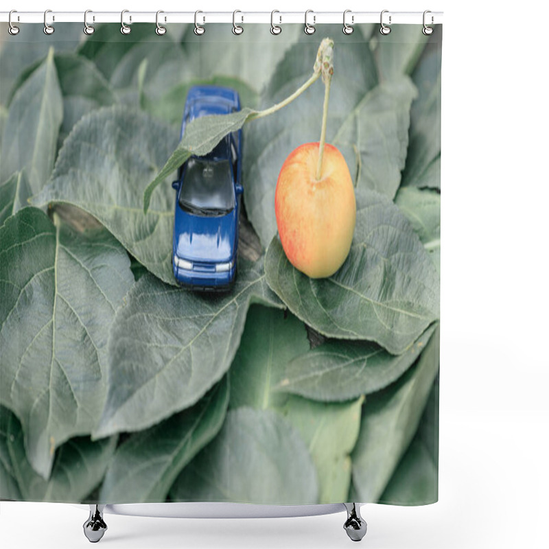 Personality  Toy Car Under A Leaf Of A Small Apple. Nature And Mechanisms Can Be Friends Shower Curtains