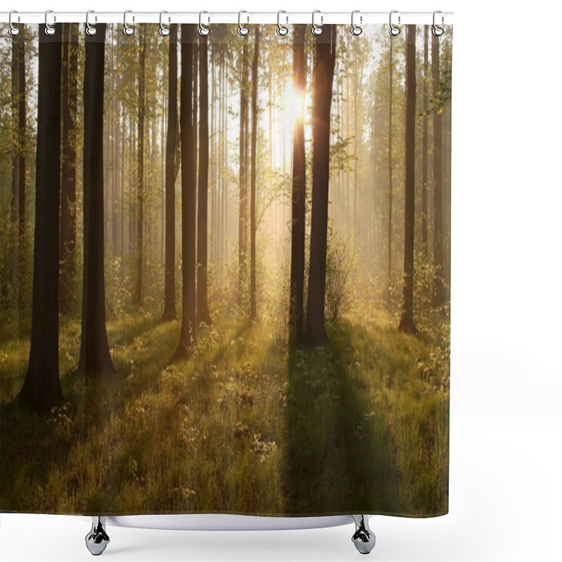 Personality  Sunrise Through The Trees In The Forest Shower Curtains