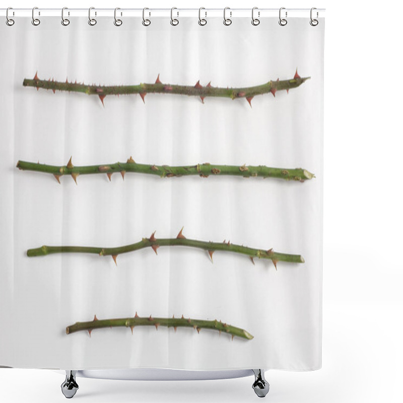 Personality  Rose Stalks With Thorns Shower Curtains