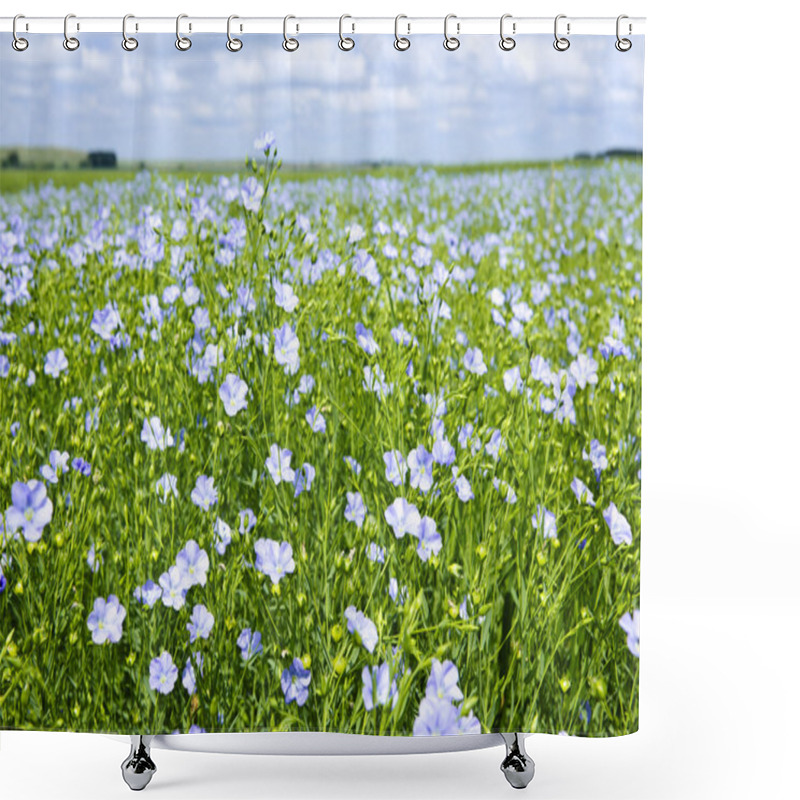 Personality  Blooming Flax Field Shower Curtains