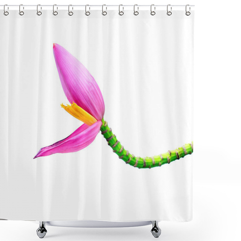 Personality  Pink Banana Flower On Banana Tree Isolated On A White Background Shower Curtains