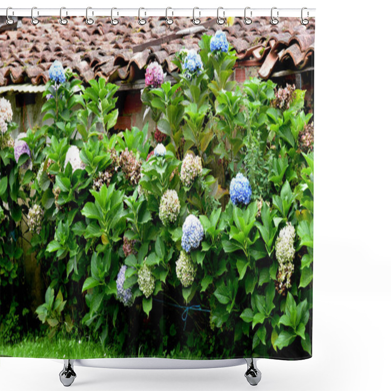 Personality  Beautiful Rustic Garden With Hydrangea Flowers Shower Curtains